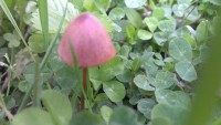 /album/michalova/a2013-05-16-17-00-44-jpg/